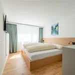 بيت ضيافة Gaestehaus Hirschen 3*