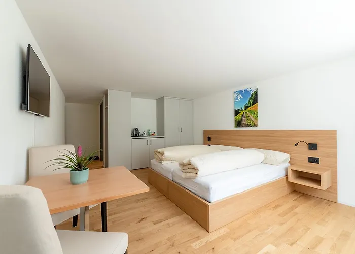 Gaestehaus Hirschen Gæstehus 3*